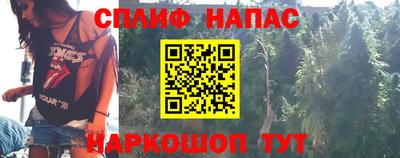 стаф Бузулук