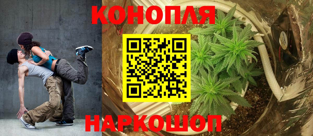 Канабис OG Kush Фрязино